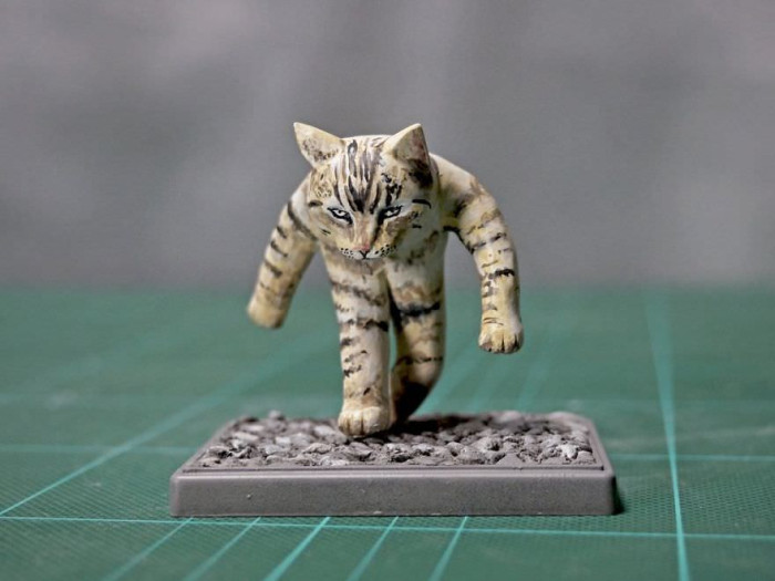 Get this cat a cape and a suit because he’s here to save the day!