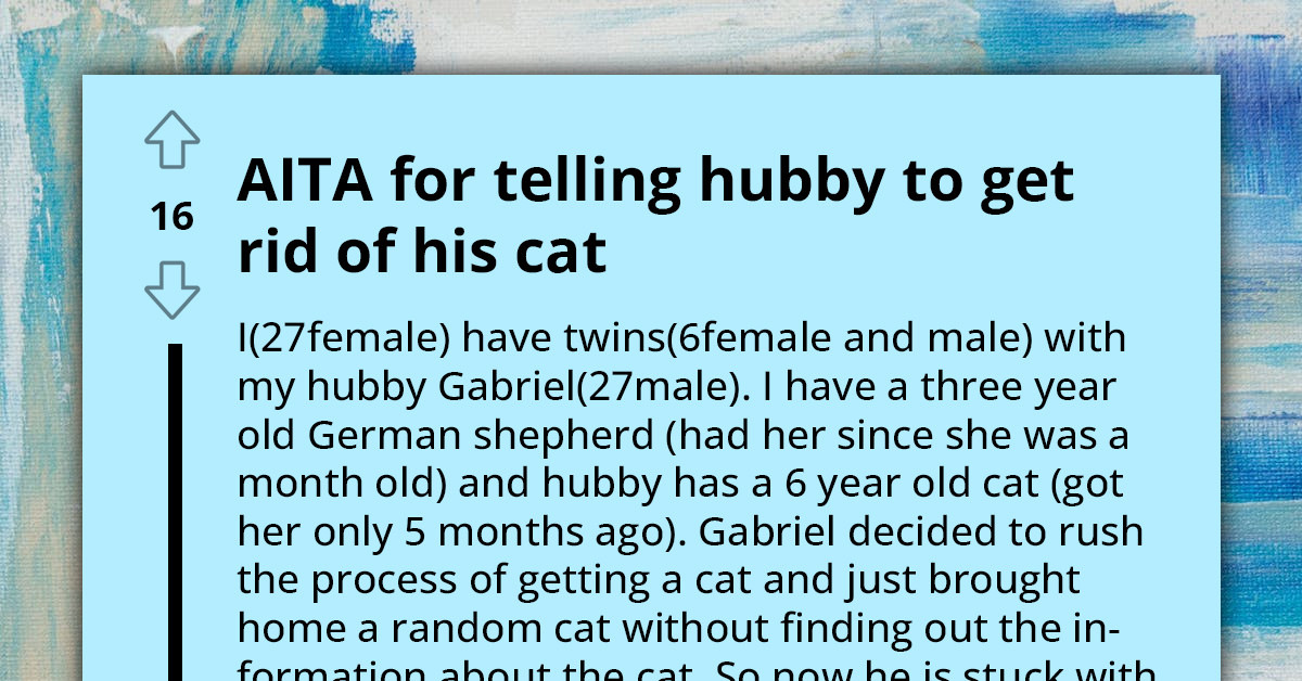 Husband Suggests Twins Give Up Room For Newly Adopted, Stressed Cat To Prevent Accidents - Wife Wants The Cat Gone