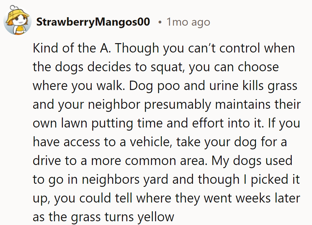 They're in the gray zone; navigate walks wisely to keep grass green and neighborly relations intact!
