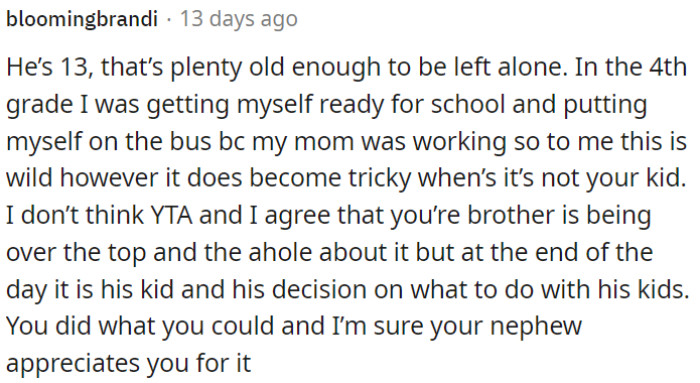 OP's brother's reaction is excessive, but it's his call regarding his kid.