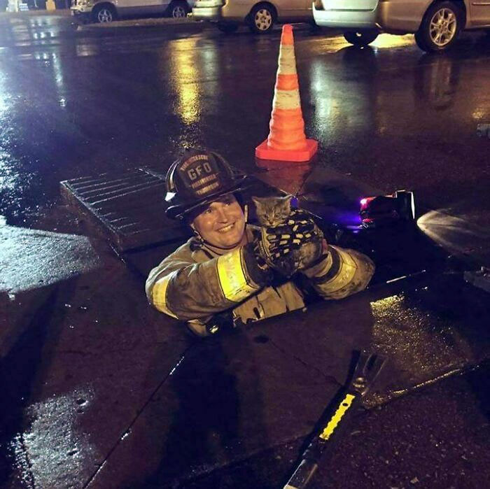 34. Firefighter Buddy Saving A Tiny Kitten