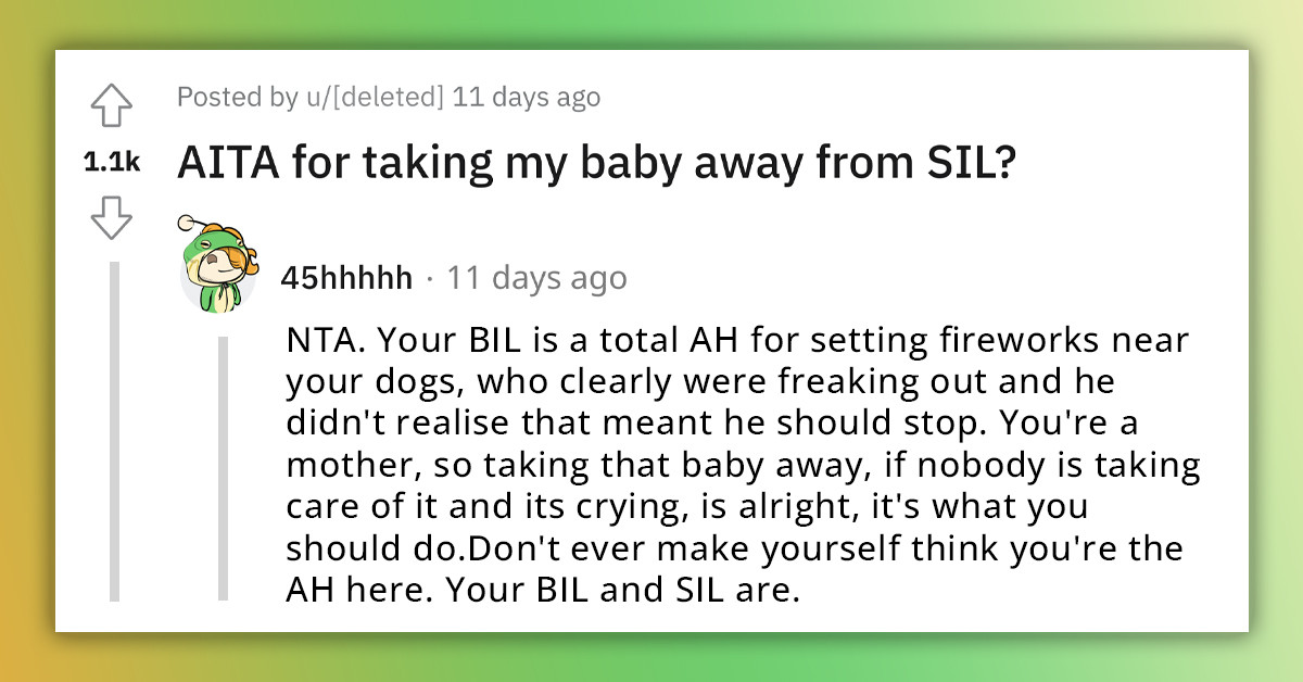 Fourth Of July Fireworks, Scared Dogs, And A Screaming Baby Creates Permanent Rift Between New Mom And Her Sister-In-Law