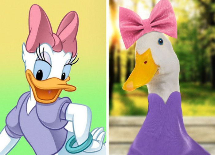 9. Daisy Duck would be a real sweetheart in real life (just like she is in the animated version), and there's really no question about that! Who doesn't love ducks, anyway?