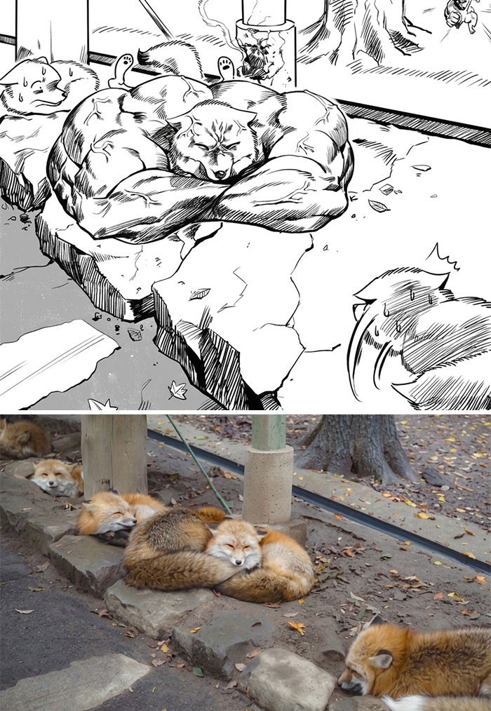 "Behold The Swolefox"