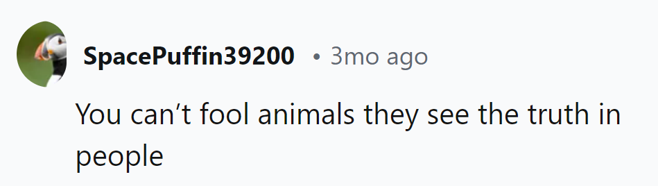 Animals: the ultimate 