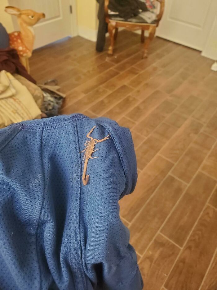 "My Friend Forgot To Check His Underwear Before Putting It On"