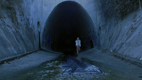 7. Brick: The frightening reversed bin bag.