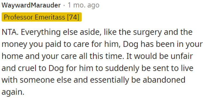 It would be unjust and unkind to subject Dog to sudden relocation and abandonment once more.