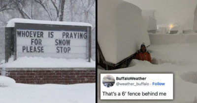 29 People Post The Aftermath of Snowpocalypse in Buffalo, New York, And Some of Them Are Quite Amusing