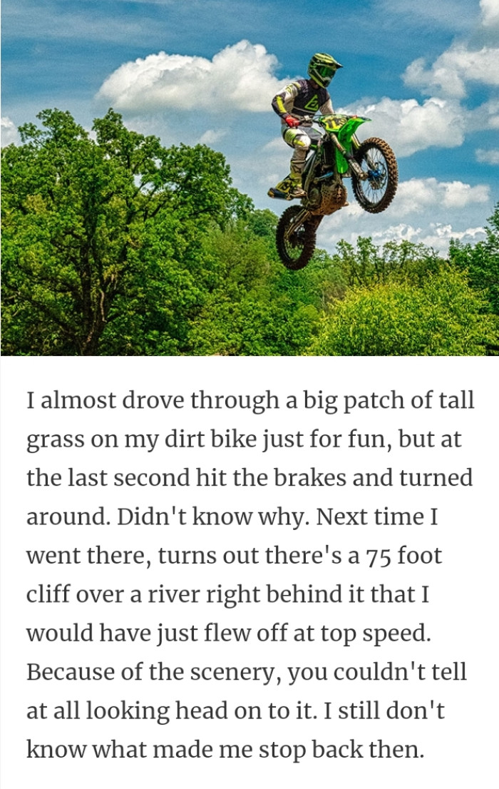 16. Patch of tall grass