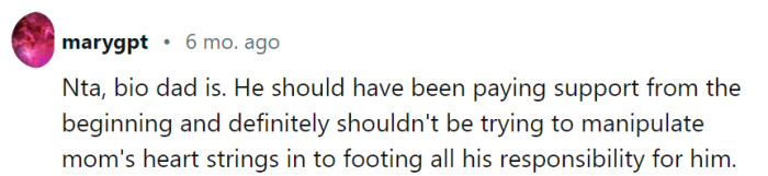 The bio dad's evasion of responsibility and attempts to manipulate the situation are unfair and unjust. Holding him accountable for providing child support is essential to ensure the child's well-being and prevent the burden from falling solely on the mother.
