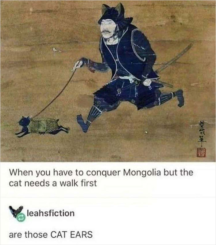 11. Cat needs its walk