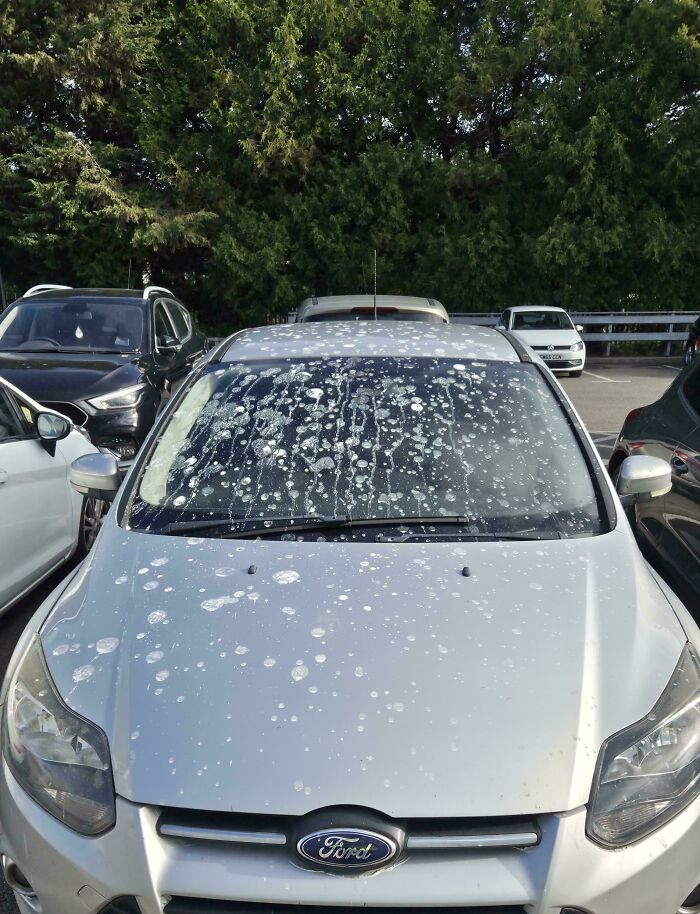 "I Could Have Parked Anywhere At Work"