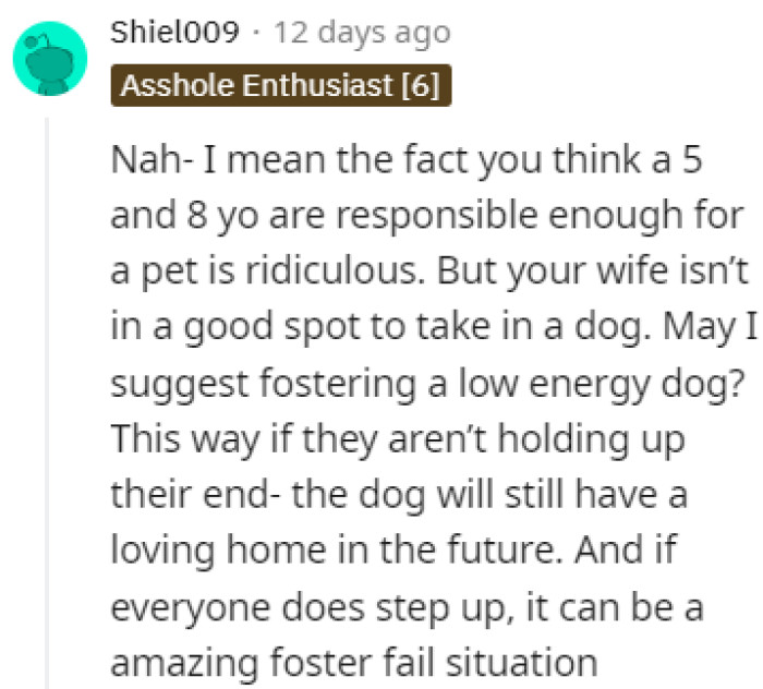 Too young to look after a dog