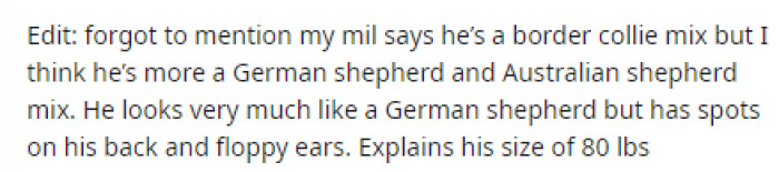 OP then added an update on what her MIL says regarding the breed of her dog, but honestly, it doesn't matter because if she's not comfortable, then she's not comfortable.