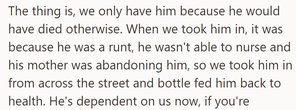 He took in Nibbles as a runt needing bottle feeding, saving him from certain death.