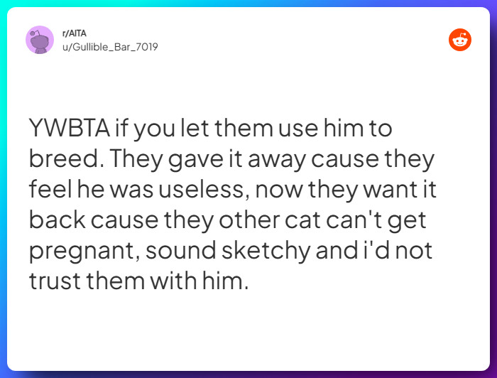 Comment from u/Gullible_Bar_7019