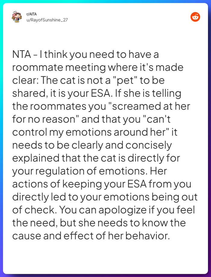 Comment from u/RayofSunshine_27