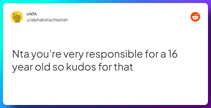 Comment from u/alphabetacheetah