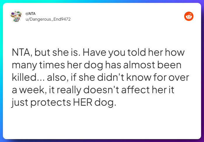 Comment from u/Dangerous_End9472