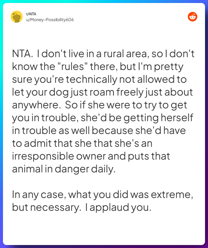 Comment from u/Money-Possibility606