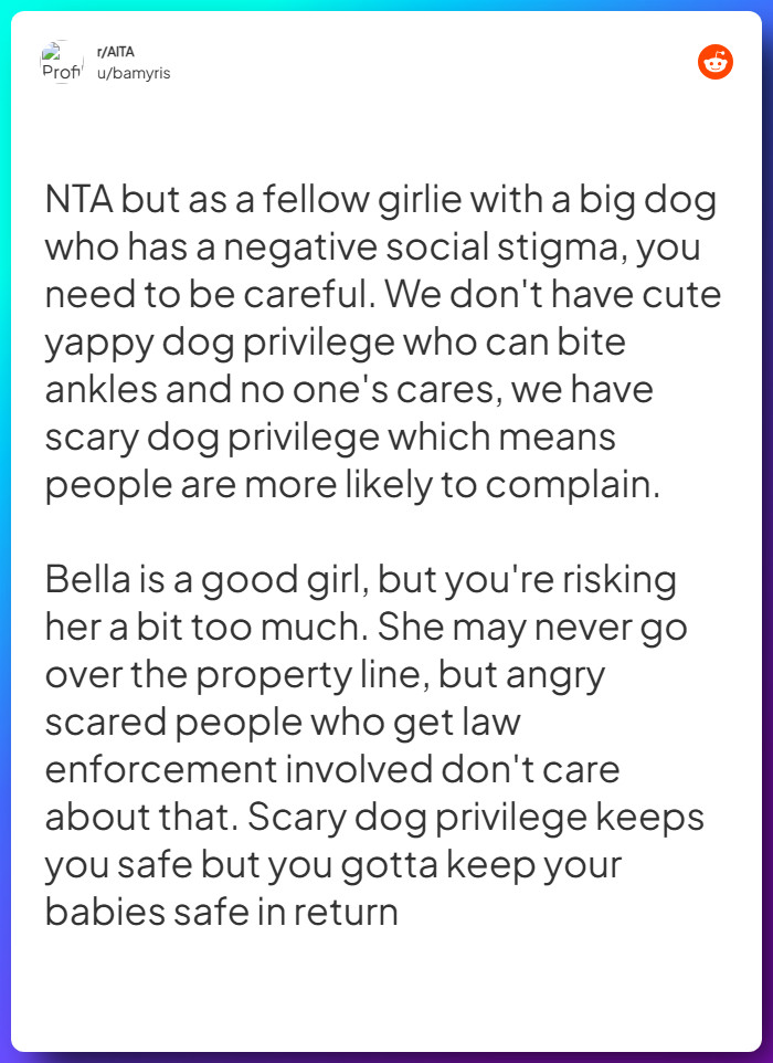 Comment from u/bamyris