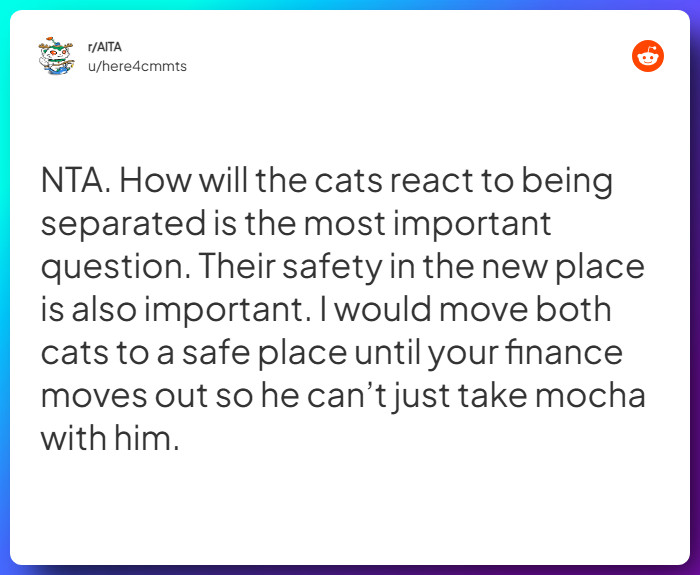 Comment from u/here4cmmts