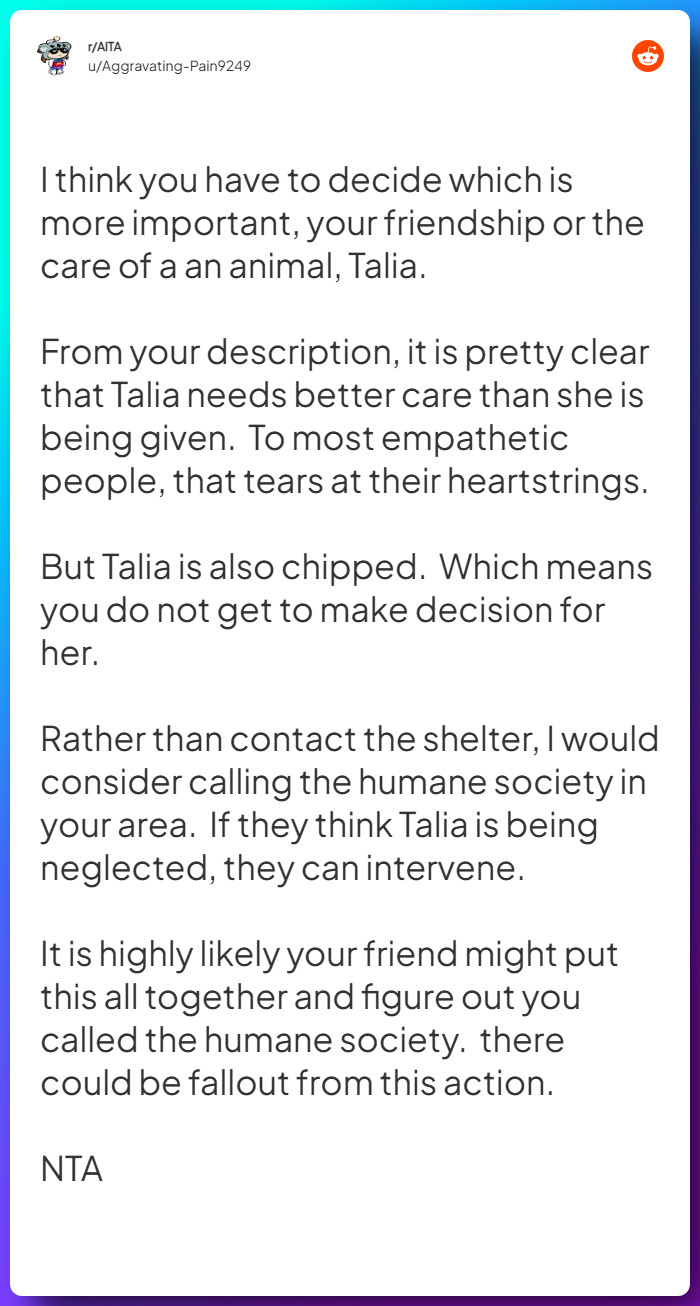 Comment from u/Aggravating-Pain9249