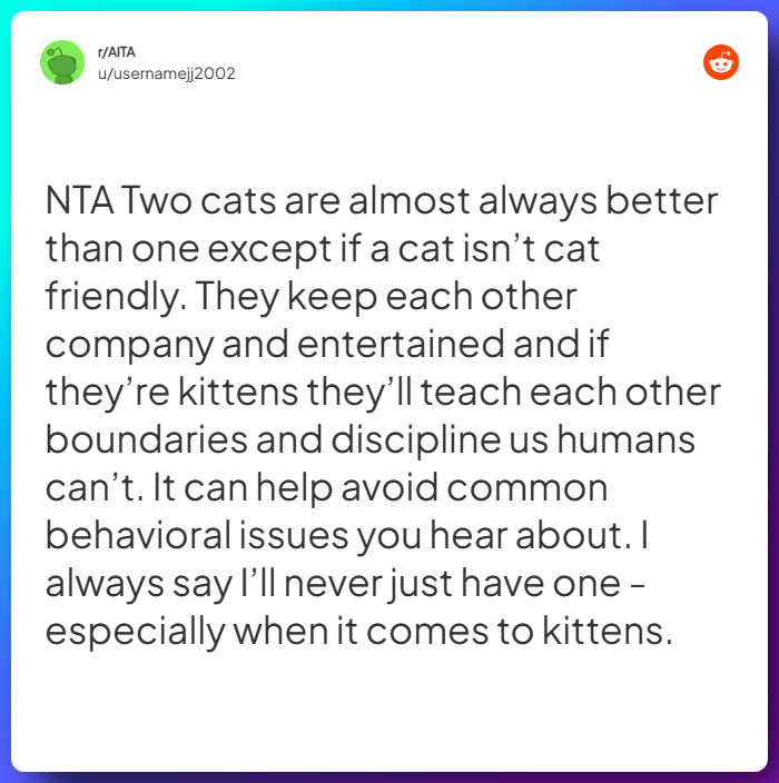 Comment from u/usernamejj2002