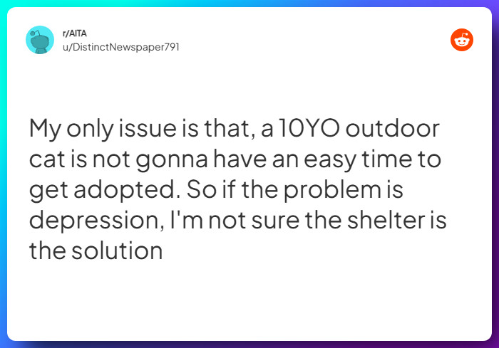 Comment from u/DistinctNewspaper791