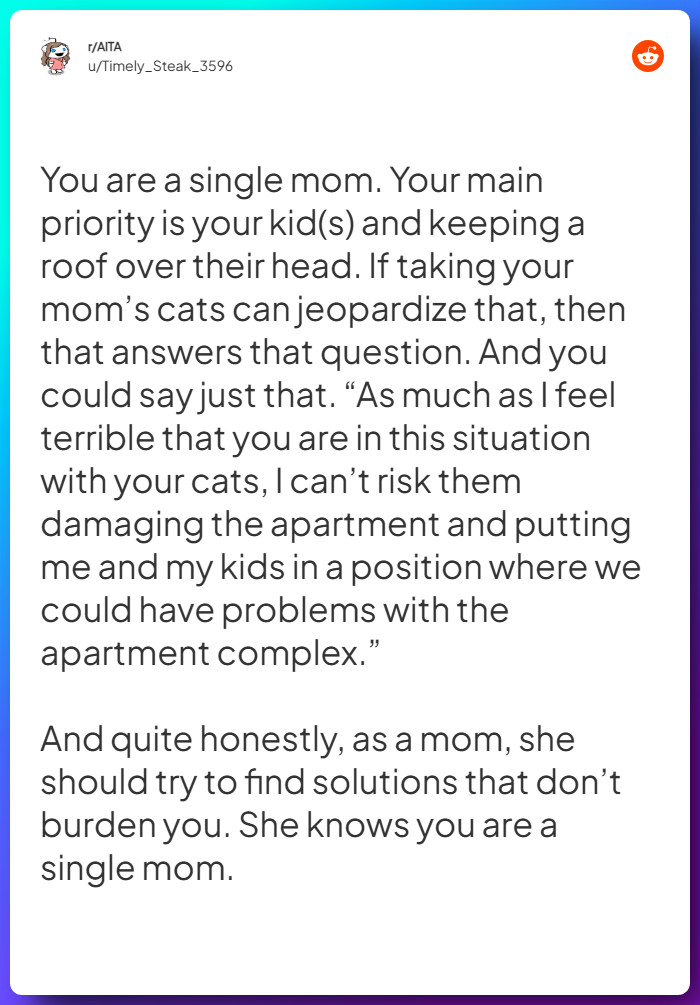 Comment from u/Timely_Steak_3596