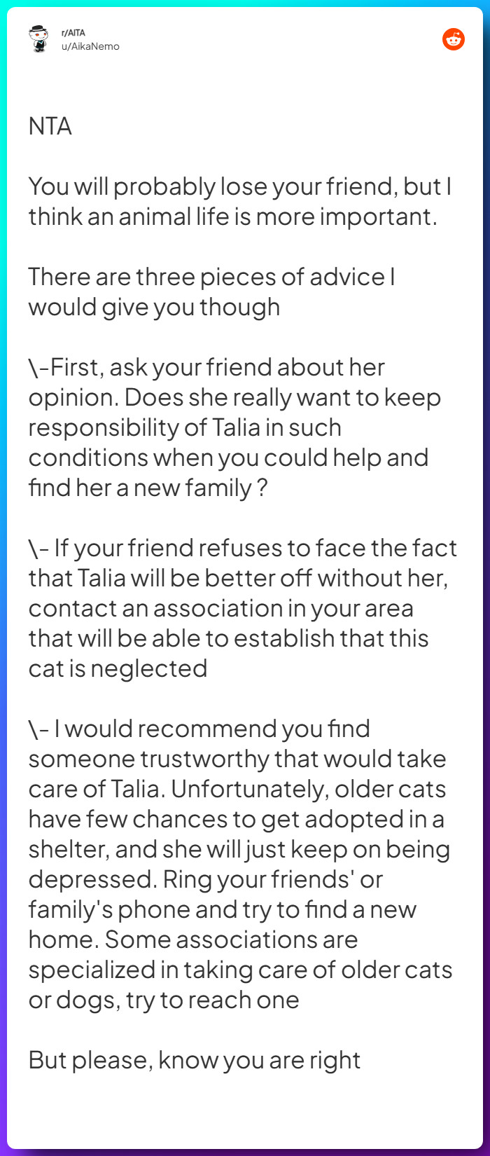 Comment from u/AikaNemo