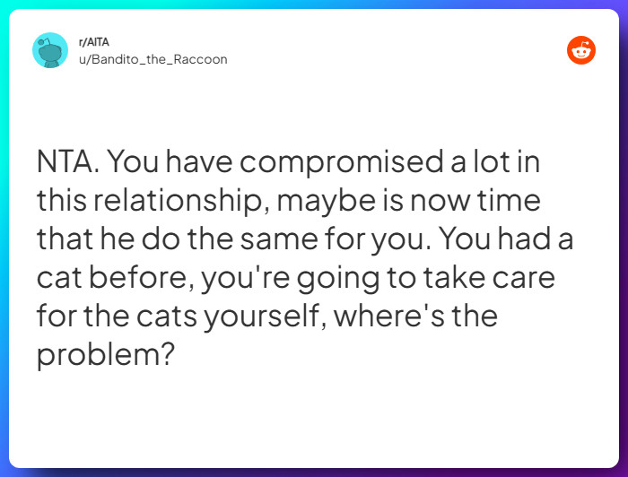 Comment from u/Bandito_the_Raccoon