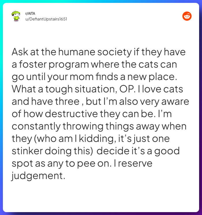 Comment from u/DefiantUpstairs1651