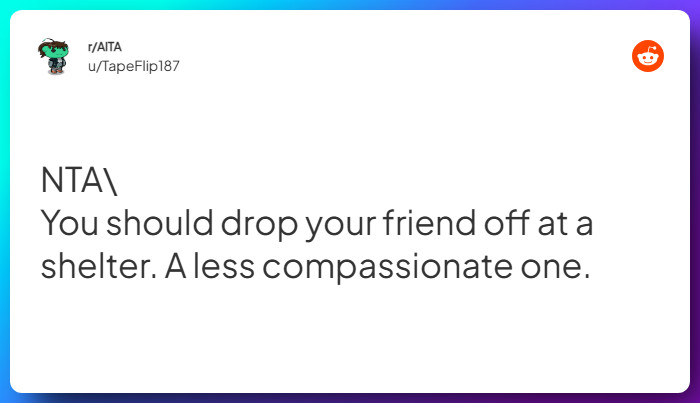 Comment from u/TapeFlip187