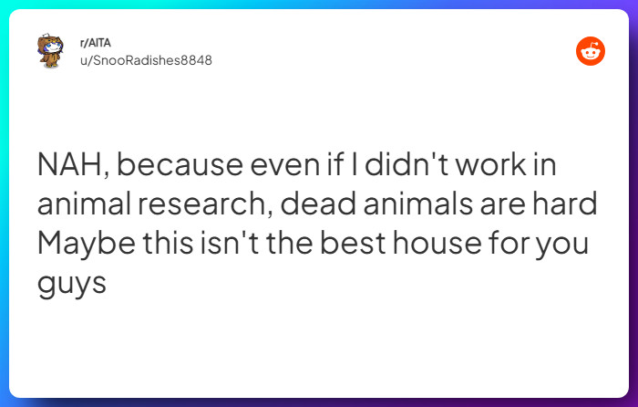 Comment from u/SnooRadishes8848