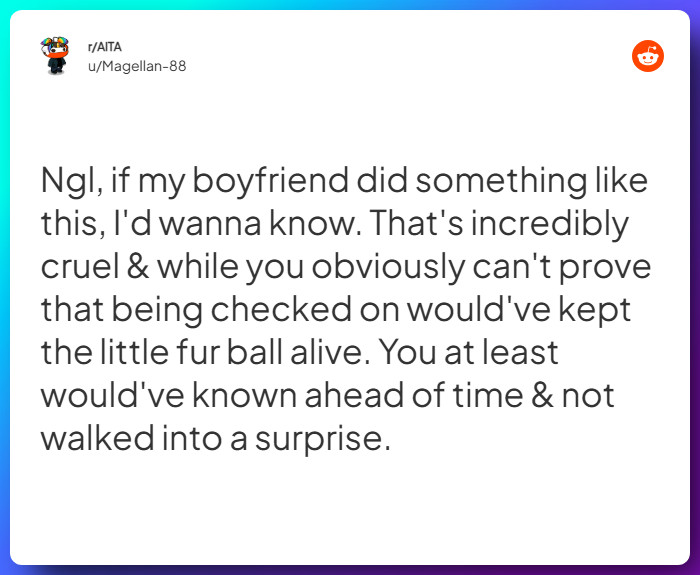 Comment from u/Magellan-88