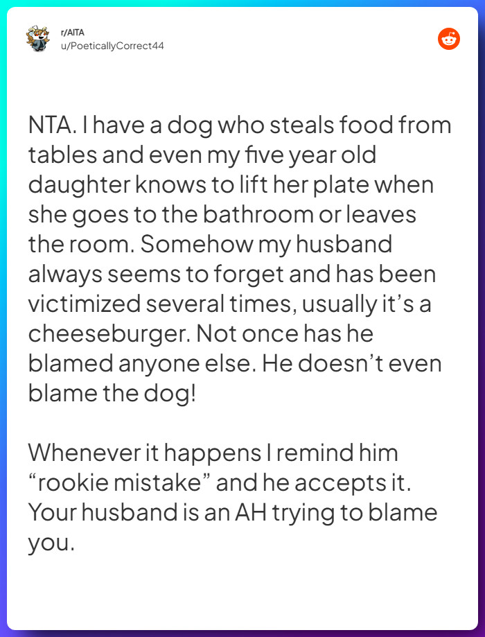 Comment from u/PoeticallyCorrect44