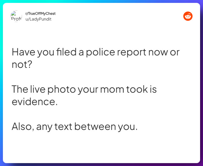 Comment from u/LadyPundit