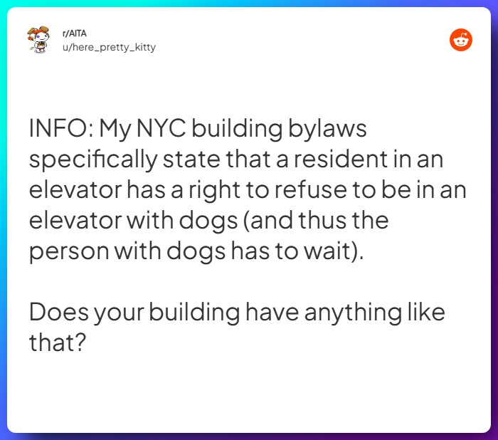 Comment from u/here_pretty_kitty