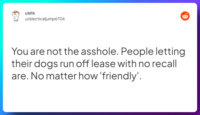 Comment from u/electicaljump6706