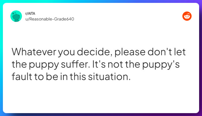 Comment from u/Reasonable-Grade640