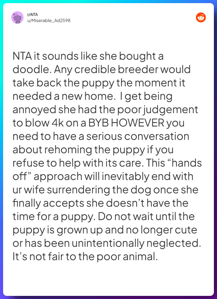 Comment from u/Miserable_Ad2598