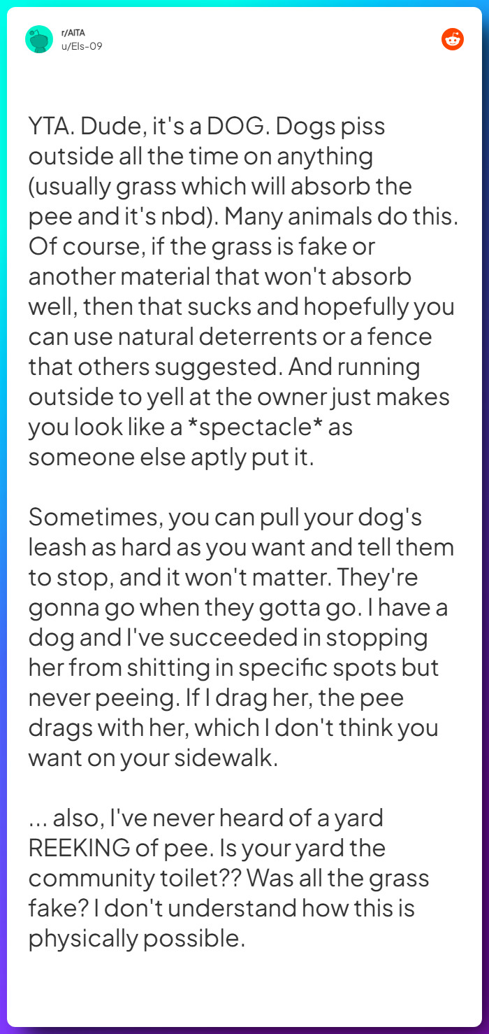 Comment from u/Els-09