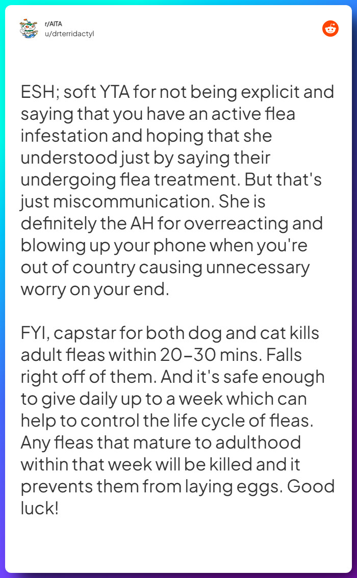 Comment from u/drterridactyl