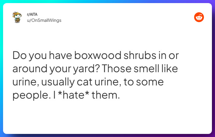 Comment from u/OnSmallWings