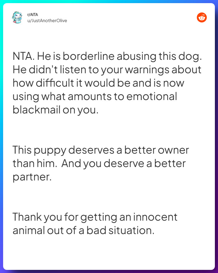 Comment from u/JustAnotherOlive