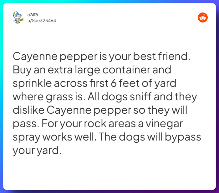 Comment from u/Sue323464