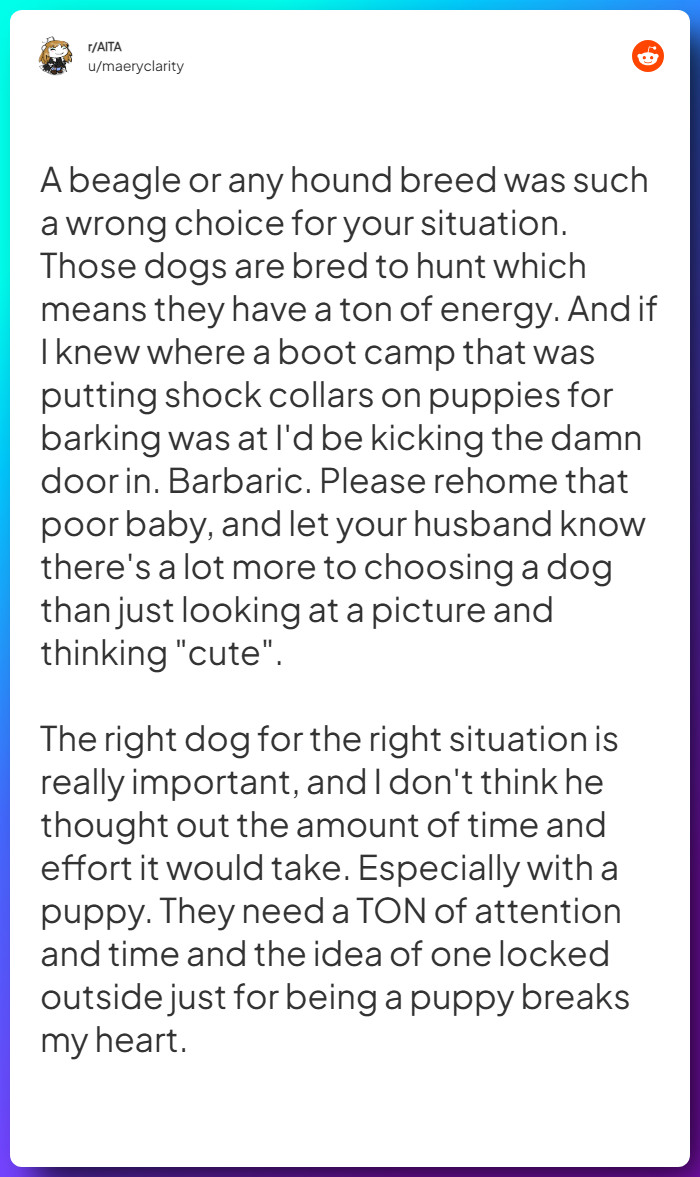 Comment from u/maeryclarity