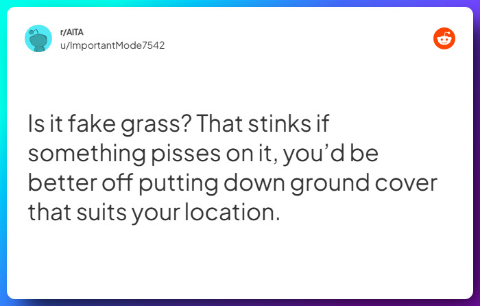 Comment from u/ImportantMode7542